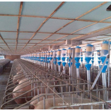 Farming High Quality Automatic Pig Feeding System